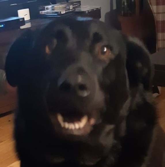 Meet your Posher, Eric - Picture 1 of 1